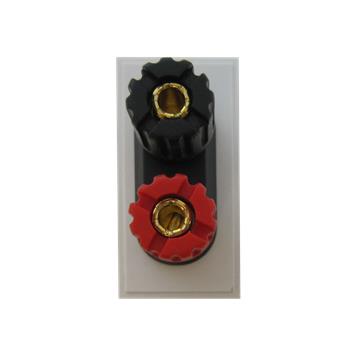 DM14W
