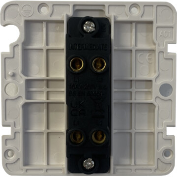 georgian polished brass intermediate switch (white inserts) back bc0625