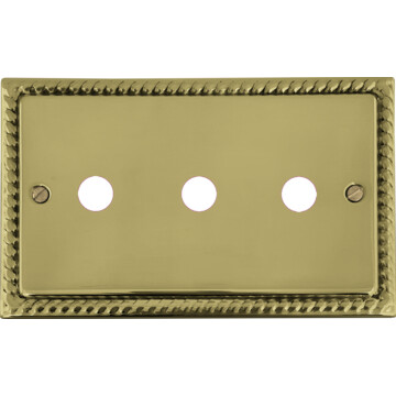 georgian polished brass toggle grid plate (3 gang) front fc0825