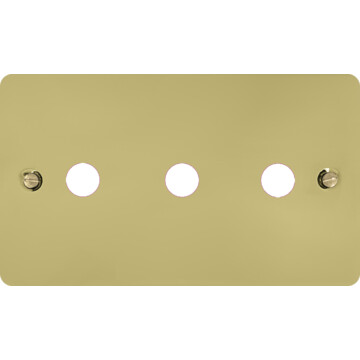 flat polished brass toggle grid plate (3 gang) front fc0825