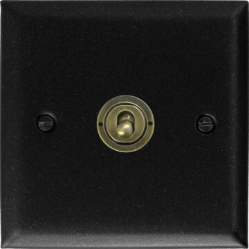 spectrum graphite toggle switch (1 gang/antique brass toggle) front fc0825