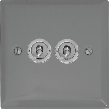 spectrum light grey toggle switch (2 gang/brushed steel toggle) front fc0825