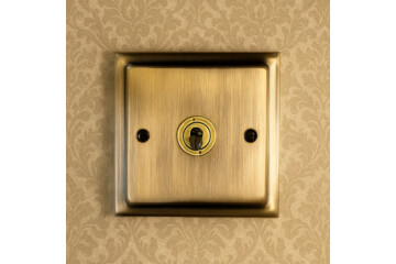 antique-brass-double-socket-traditional-living-room